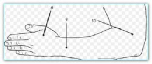 Биологически активные точки на руках. Биологически активные точки на руках