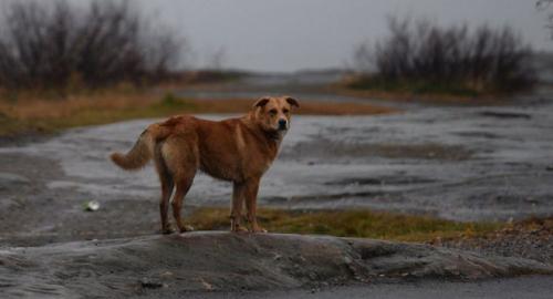 Как предупреждает об опасности ангел-хранитель. 7 признаков того, что Ангел-хранитель предупреждает о важных вещах
