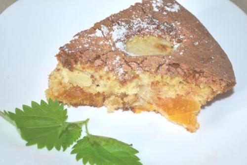 Шарлотка с курагой и яблоками в мультиварке. Оригинальная шарлотка с яблоками и курагой