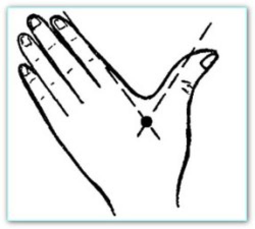 Биологически активные точки на руках. Биологически активные точки на руках