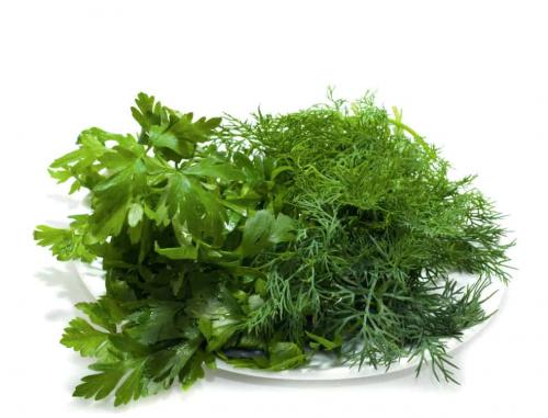 Рецепты на сушке для мужчин. Рецепты