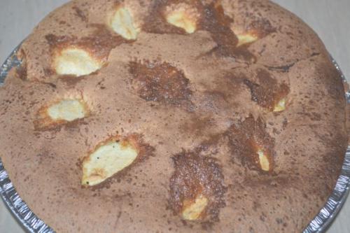 Шарлотка с курагой и яблоками в мультиварке. Оригинальная шарлотка с яблоками и курагой