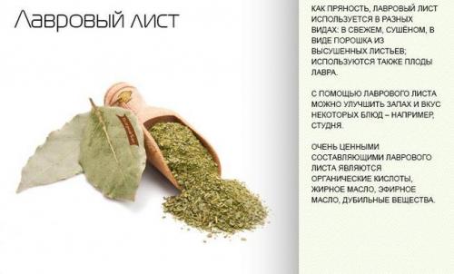 Мазь из лаврового листа для суставов. Рецепты для лечения суставов лавровым листом: отвары, настойки, мази, компрессы