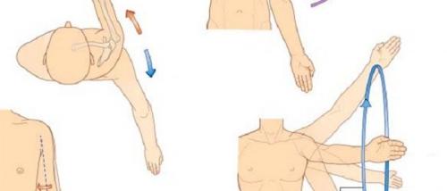 Виды движений в суставах