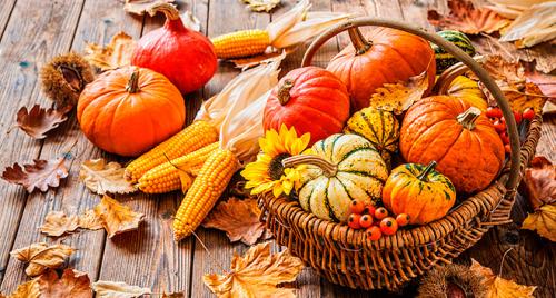 Тыквенные семечки и холестерин. Тыква для снижения холестерина: простые рецепты