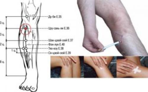 Точка молодости и долголетия на ноге. Как найти точку долголетия под коленом, её массаж и польза