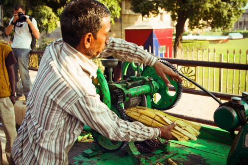 Какие на вкус индийские яблоки. Индия: фруктовый путеводитель