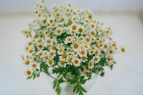 Как быстро отрастить брови после татуажа