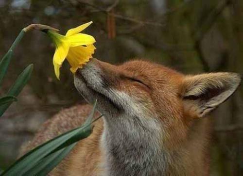 Как полюбить свою жизнь. Простые советы, как полюбить жизнь!