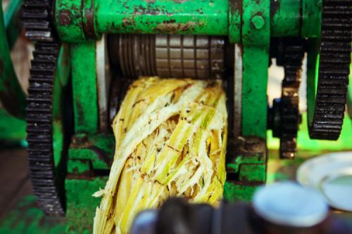 Какие на вкус индийские яблоки. Индия: фруктовый путеводитель