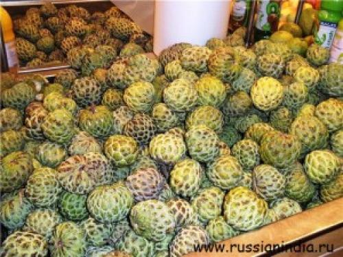 Какие фрукты получили название индийские яблоки. Фрукты Индии: Кремовое яблоко