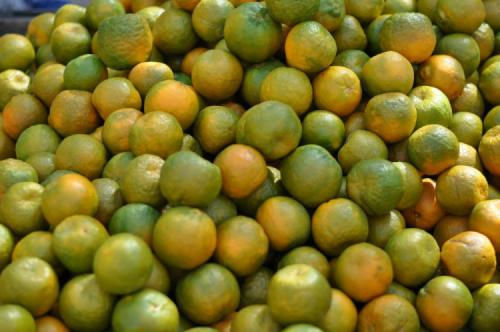 Какие на вкус индийские яблоки. Индия: фруктовый путеводитель