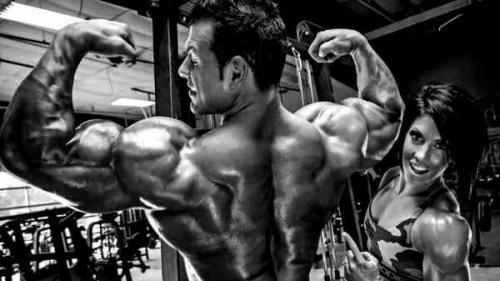 Как и какие мышцы можно качать в один день, а, какие нет. Какие мышцы надо качать вместе