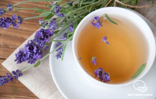 Травы для добавки к чаю. Топ 9 полезных чаев. Натуральные добавки к чаю