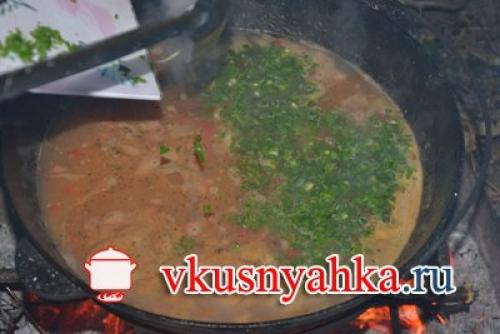 В казане на природе. Рецепт 1: шурпа в казане на костре (пошаговые фото)