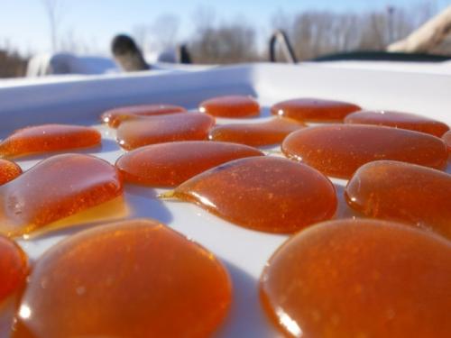 Медовая лепешка от нарыва. Медовые лепешки — проверенное средство