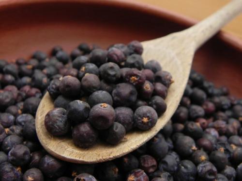 Чай из хвои с можжевельником. Полезные свойства