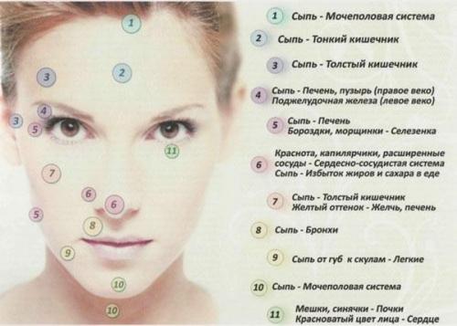 Прыщи на лице, какие органы не впорядке. За какие органы отвечают прыщи на лице?