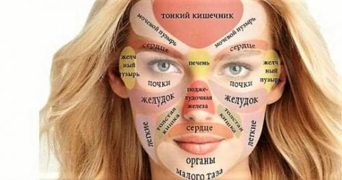 Прыщи, как заболевание внутренних органов. Зоны на лице — проекции внутренних органов
