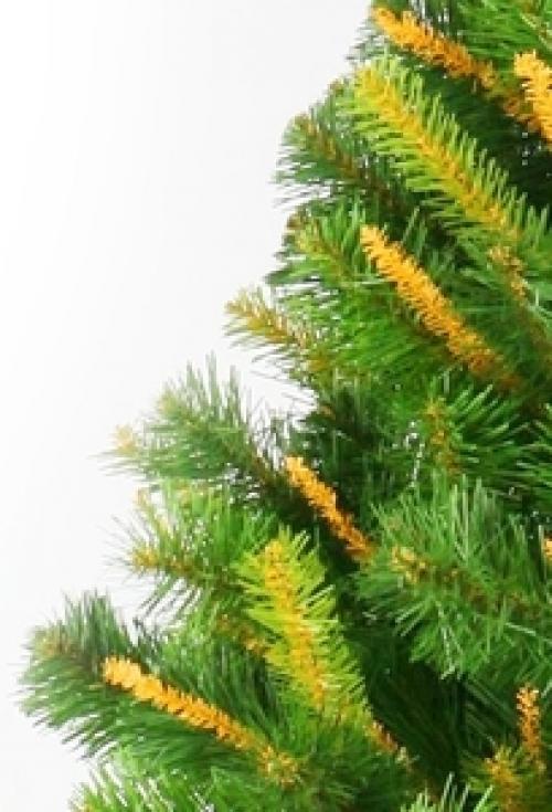 Полынь горькая лечение кашля. Лечим кашель.