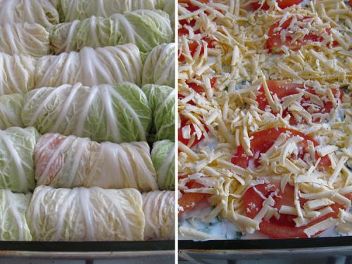 Голубцы из пекинской капусты в сметанном соусе. Голубцы из пекинской капусты запеченные под сметанным соусом