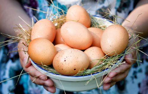 ПП салат с вареными яйцами. Простые и вкусные диетические салаты с яйцом