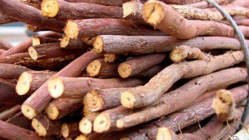 Народные средства от кашля для детей. Народные средства от сухого кашля