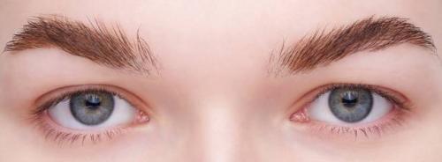 Тушь для бровей: обзор лучших