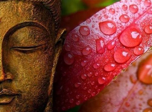 Тибетская медицина лечение суставов. Тибетский метод лечения артроза