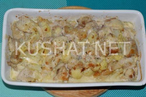 Куриная грудка с цветной капустой в духовке. Курица с цветной капустой в духовке – рецепт