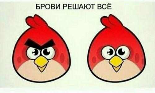 Красивые фразы про брови. Цитаты про брови