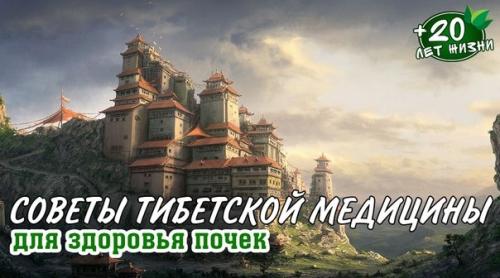 Тибетская медицина лечение почек. Советы тибетской медицины для здоровья почек