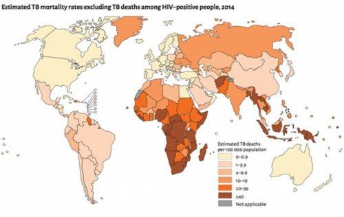 Палочка коха это. Пути попадания в организм человека