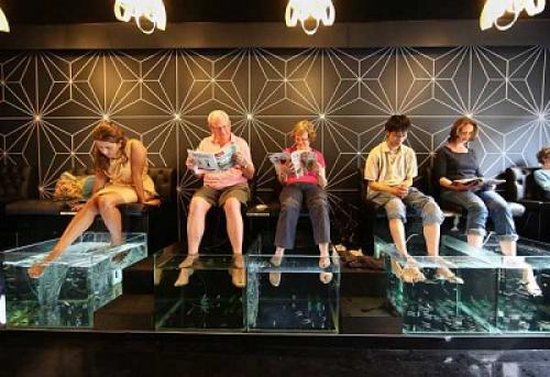 Рыбки для маникюра. Маникюр и педикюр рыбками. Fish маникюр