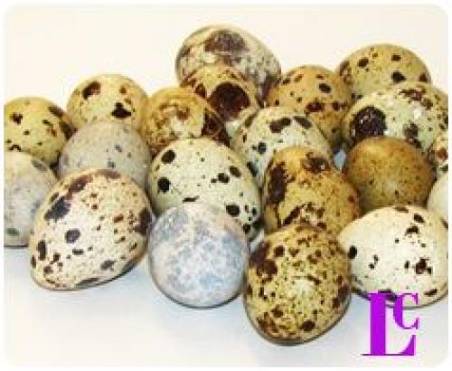 Маска с перепелиными. Домашние маски для волос из перепелиных яиц