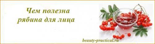 Рябина для лица. Чем полезна рябина для лица