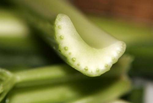 Сельдерей в косметологии в домашних условиях. Маски для лица из сельдерея. Полезные свойства у вас всегда под рукой! 03