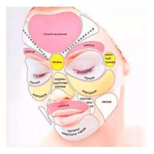 Лучшие упражнения для лица. Зачем нужна гимнастика для лица?