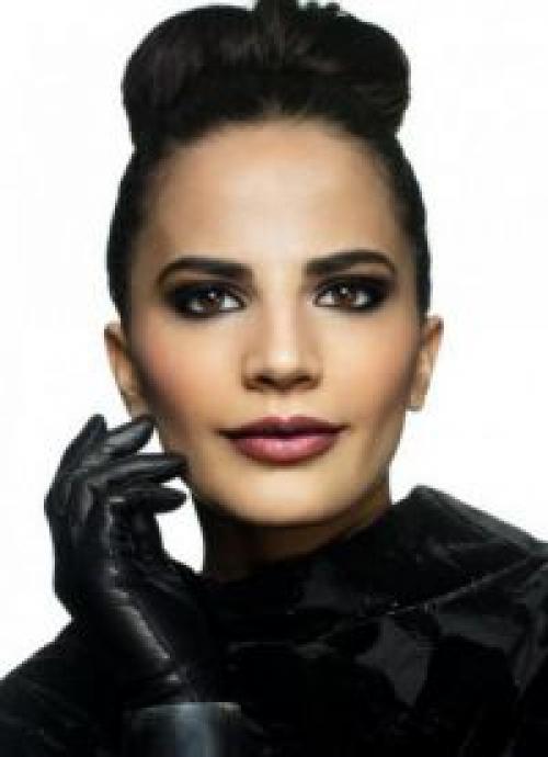 Вечерний макияж под черное платье пошагово. Макияж под черное платье