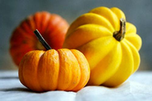 Маски из тыквы для лица в домашних условиях. Тыквенные маски для кожи лица в домашних условиях 04