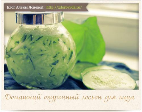 Огуречный лосьон для лица в домашних условиях. Как сделать настоящего огуречный лосьон для кожи лица — простой рецепт