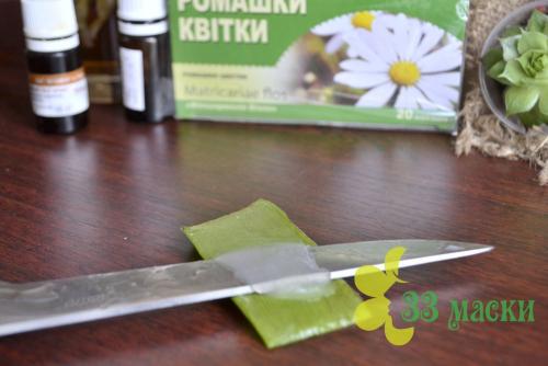 Лосьон для лица из алоэ. Тонкости приготовления лосьона для лица из алоэ