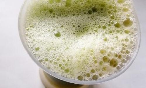 Лед из сока кабачка. Рецепт домашнего свежевыжатого сока из кабачка и огурца