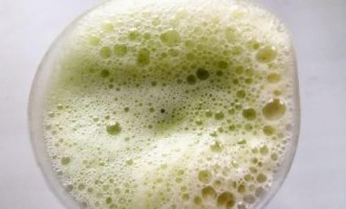 Лед из сока кабачка. Рецепт домашнего свежевыжатого сока из кабачка и огурца