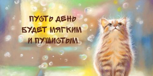 Как поднять настроение девушке. 10 способов поднять настроение любимой