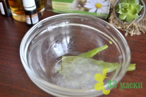 Лосьон для лица из алоэ. Тонкости приготовления лосьона для лица из алоэ