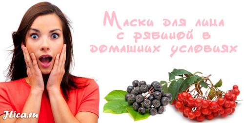 Маска из черноплодной рябины для лица. Полезные свойства рябины 01 Маска из черноплодной рябины для лица. Полезные свойства рябины 01