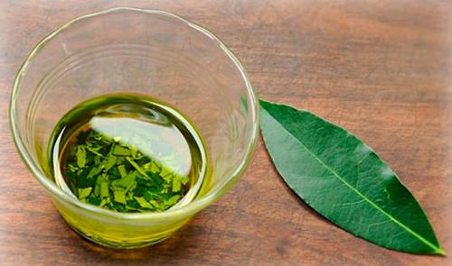 Лавровый лист для волос ополаскивание от вшей