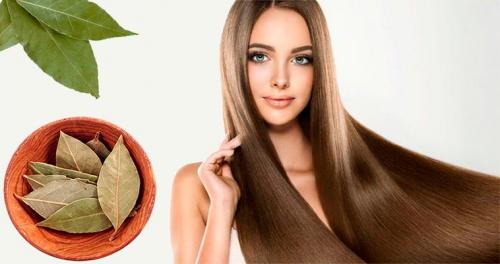 Лавровый лист для волос ополаскивание от вшей