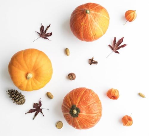 Маска для лица в домашних условиях из тыквы. Тыквенные маски для кожи лица в домашних условиях 11 Маска для лица в домашних условиях из тыквы. Тыквенные маски для кожи лица в домашних условиях 11